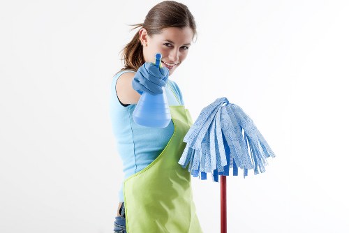Professional stain removal service for a Tufnell Park home carpet