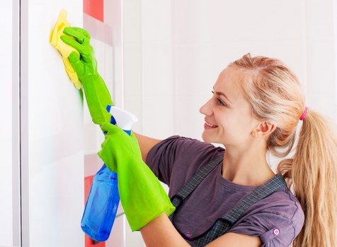 Regular cleaning service for a Tufnell Park home with a tidy living room