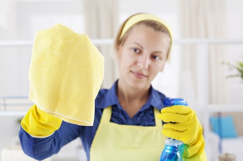 Residential house cleaning service in Tufnell Park with attention to detail