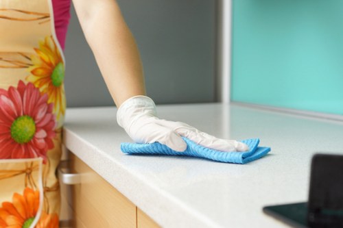 Professional oven cleaning service in a Tufnell Park kitchen