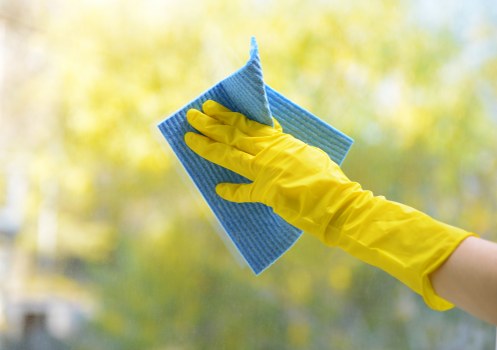 Professional pre-occupancy cleaning in a Tufnellpark kitchen