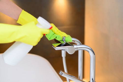 Gutter cleaning service on a Tufnellpark residential property roofline