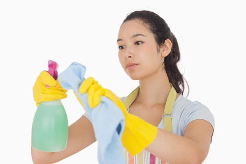 Thorough cleaning of a Tufnellpark flat interior