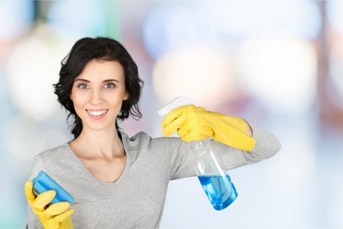 Upholstery cleaning service for a sofa in a Tufnell Park home