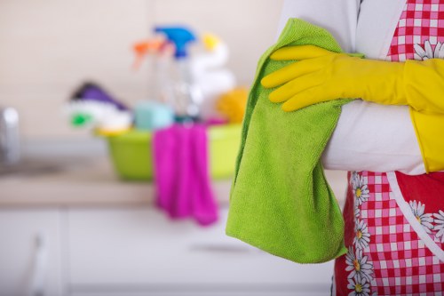 Deep cleaning equipment for pet stain odour removal in Tufnellpark
