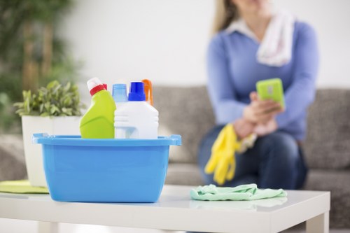 Professional mattress cleaning service in a Tufnell Park home