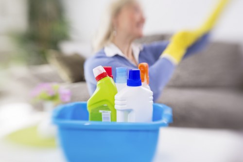 Waste handling and disposal during a professional cleaning visit