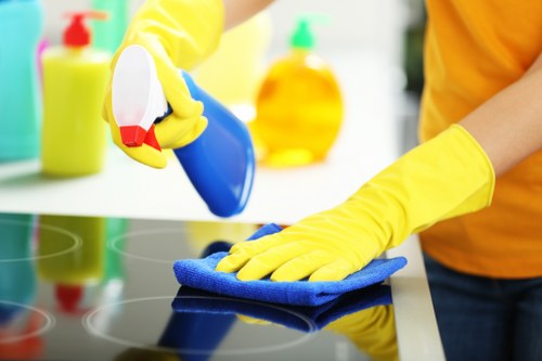 Kitchen and bathroom deep cleaning in a Tufnellpark property