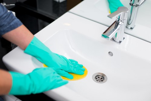 Local specialist treating pet odour and stain issues in a Tufnellpark home