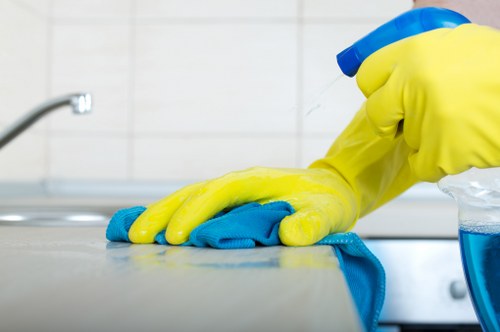 Professional cleaner working in a Tufnellpark flat