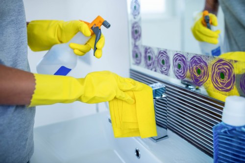 Professional bathroom deep cleaning in Tufnellpark