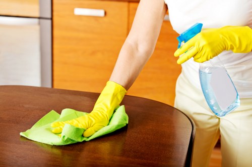 Stain treatment for upholstery in a Tufnell Park flat