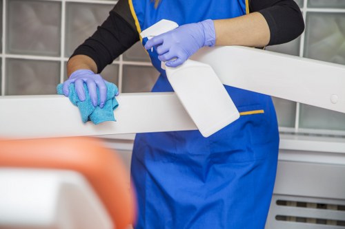 Professional gutter maintenance near flats and homes in Tufnellpark
